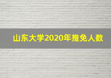 山东大学2020年推免人数