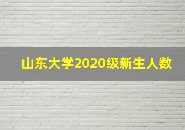 山东大学2020级新生人数