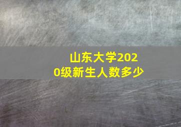 山东大学2020级新生人数多少