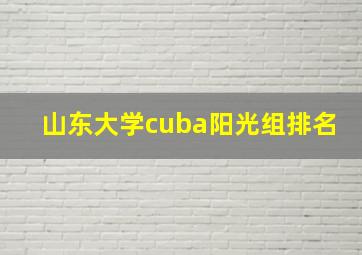 山东大学cuba阳光组排名