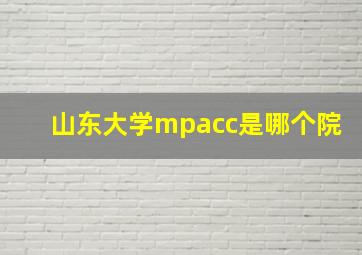 山东大学mpacc是哪个院