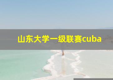 山东大学一级联赛cuba