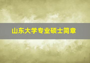 山东大学专业硕士简章