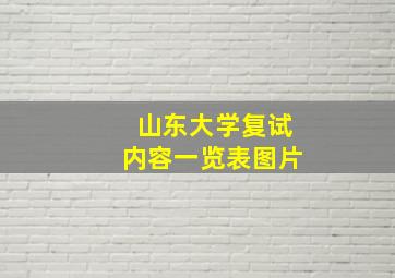 山东大学复试内容一览表图片