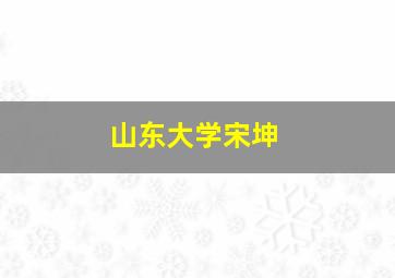 山东大学宋坤