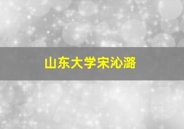 山东大学宋沁潞