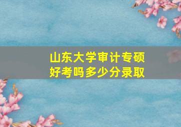 山东大学审计专硕好考吗多少分录取