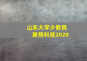 山东大学少数民族预科班2020