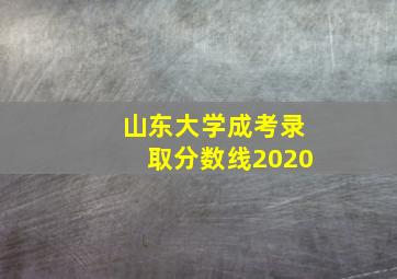 山东大学成考录取分数线2020