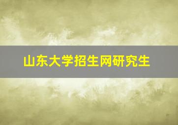 山东大学招生网研究生