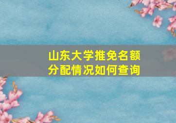 山东大学推免名额分配情况如何查询