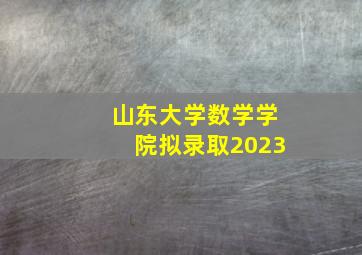 山东大学数学学院拟录取2023