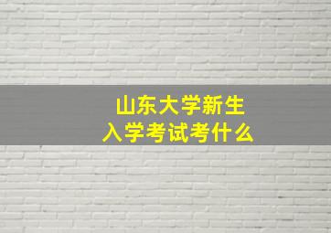 山东大学新生入学考试考什么