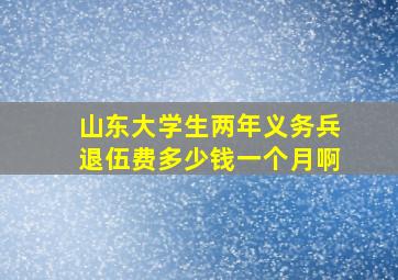 山东大学生两年义务兵退伍费多少钱一个月啊