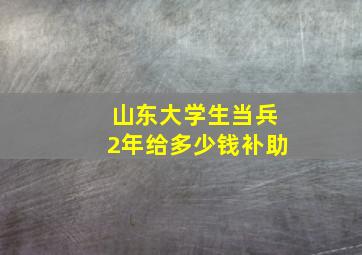 山东大学生当兵2年给多少钱补助