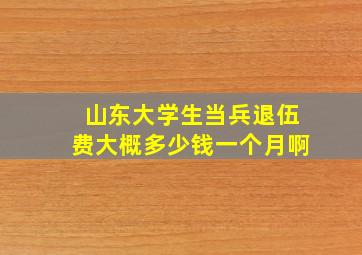 山东大学生当兵退伍费大概多少钱一个月啊