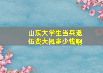 山东大学生当兵退伍费大概多少钱啊