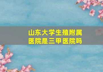 山东大学生殖附属医院是三甲医院吗