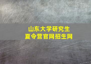 山东大学研究生夏令营官网招生网