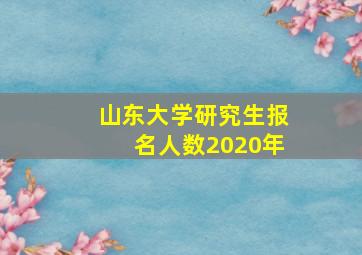 山东大学研究生报名人数2020年