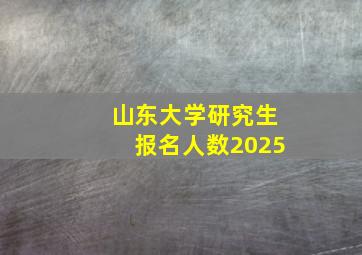 山东大学研究生报名人数2025