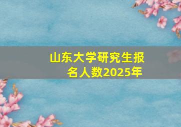 山东大学研究生报名人数2025年