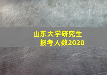 山东大学研究生报考人数2020