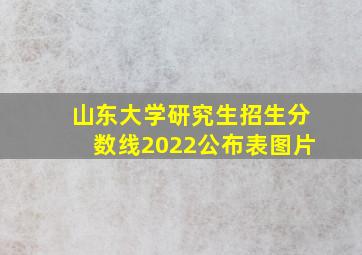 山东大学研究生招生分数线2022公布表图片