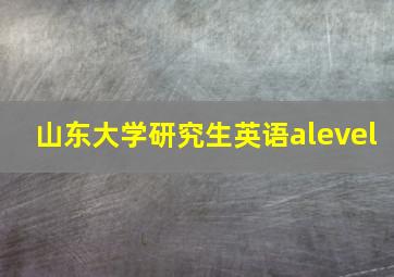 山东大学研究生英语alevel