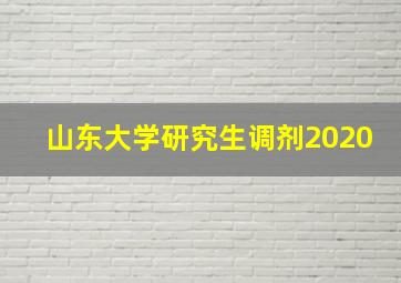 山东大学研究生调剂2020