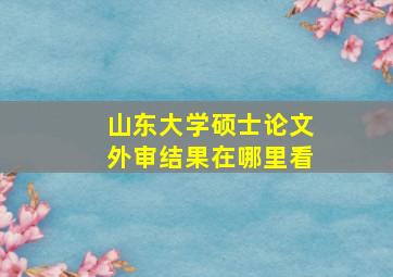 山东大学硕士论文外审结果在哪里看