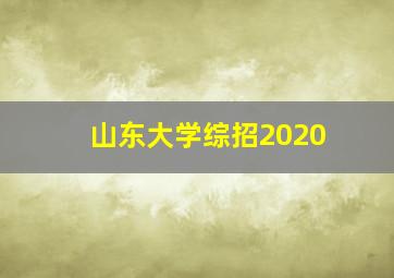 山东大学综招2020