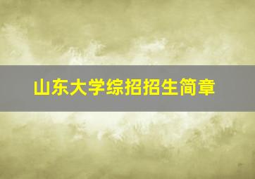 山东大学综招招生简章