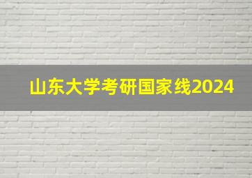 山东大学考研国家线2024