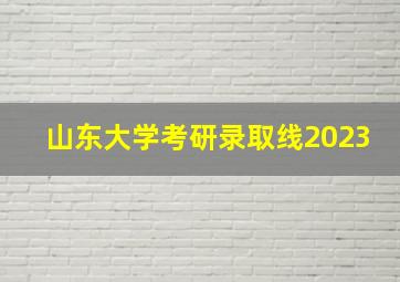 山东大学考研录取线2023