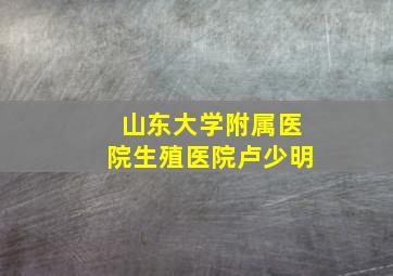 山东大学附属医院生殖医院卢少明