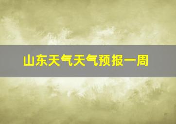 山东天气天气预报一周