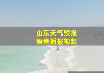 山东天气预报语音播报视频