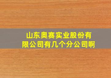 山东奥赛实业股份有限公司有几个分公司啊