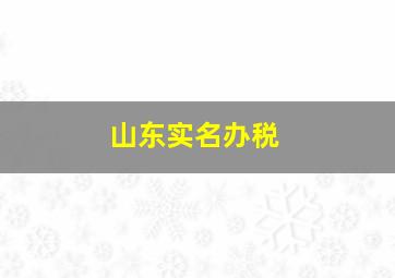 山东实名办税