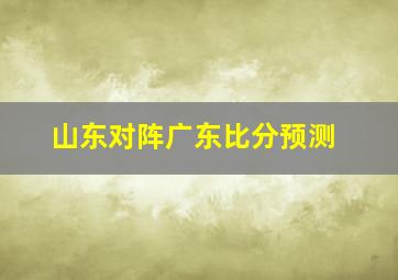 山东对阵广东比分预测