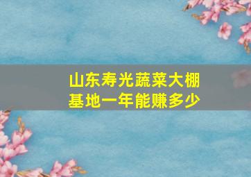 山东寿光蔬菜大棚基地一年能赚多少