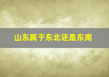 山东属于东北还是东南