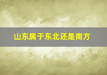 山东属于东北还是南方