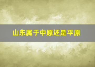 山东属于中原还是平原