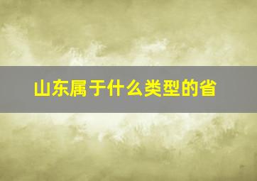 山东属于什么类型的省