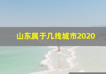 山东属于几线城市2020