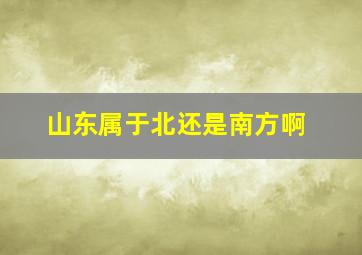 山东属于北还是南方啊