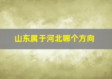 山东属于河北哪个方向