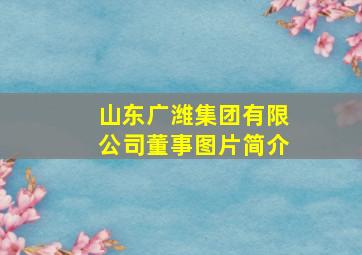 山东广潍集团有限公司董事图片简介